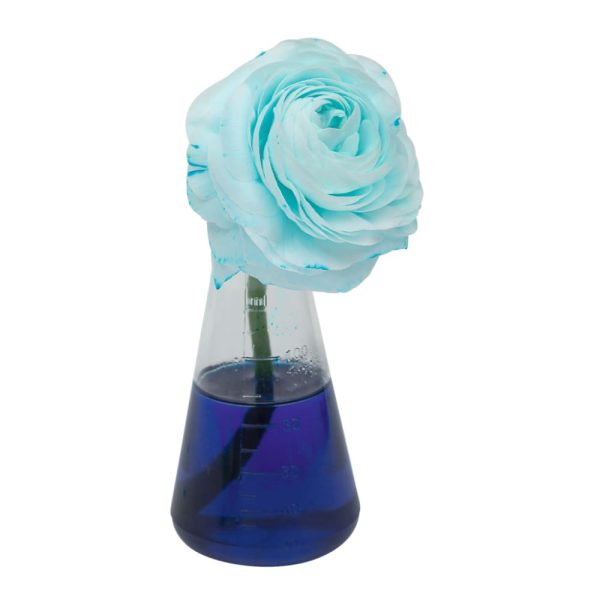 PhänoMINT -  Laboratorio de colores (4)<br><span style="color:#000;font-weight:700;font-size:10pt">A PARTIR DEL   15 NOVIEMBRE</span> - Imagen 4